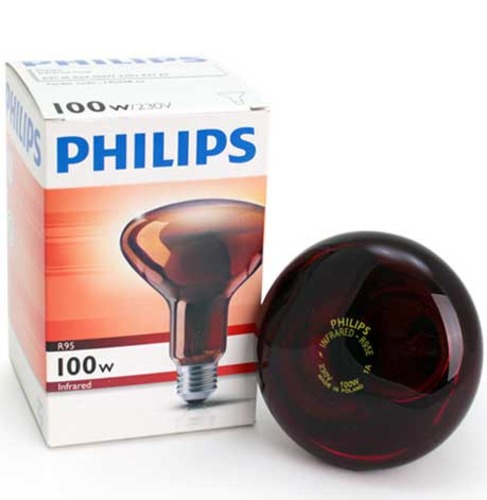 필립스 적외선램프 100W